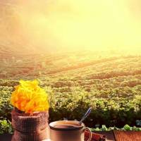 Que o seu dia seja abençoado com amor, paz e felicidade. Que a sua fé em Deus te guie e te dê forças para enfrentar qualquer desafio que possa surgir...