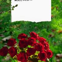 Comece o seu dia com um coração agradecido e uma mente cheia de fé. Acredite que Deus tem planos maravilhosos para você e confie que Ele sempre estar...