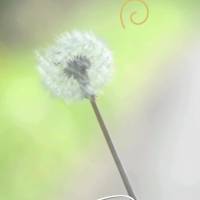 Que Deus abençoe cada 
dia desta semana e nos guie pelo caminho da paz! Boa Semana!