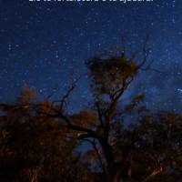 Não tema, pois Deus está com você, Ele te fortalecerá e te ajudará. Boa noite!