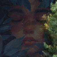 Que Deus te encha de paz e alegria nesta noite e te prepare para um novo dia. Boa noite!