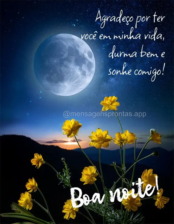Agradeço por ter você em minha vida, durma bem e sonhe comigo! Boa noite!
