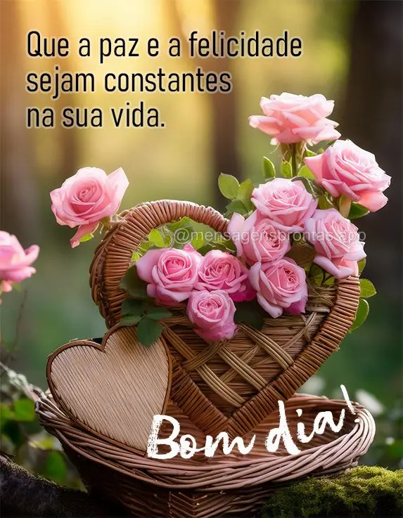 Que a paz e a felicidade sejam constantes na sua vida. Bom dia!