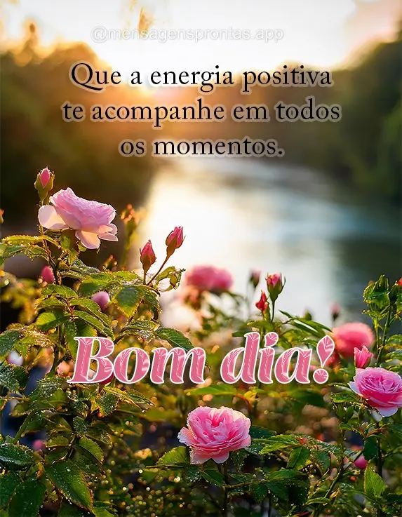 Que a energia positiva te acompanhe em todos os momentos. Bom dia!