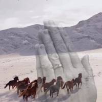 “Guia-me na tua verdade, e ensina-me, pois tu és o Deus da minha salvação; por ti estou esperando todo dia.”  Salmos 25:5