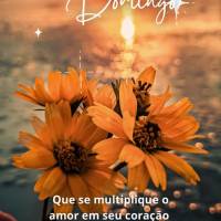 Que se multiplique o amor em seu coração e que a felicidade um constante sentimento adquirido todos os dias! Feliz Domingo!