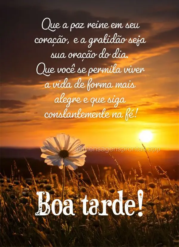 Que a paz reine em seu coração, e a gratidão seja sua oração do dia. Que você se permita viver a vida de forma mais alegre e que siga constantement...