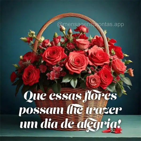 Que essas flores possam lhe trazer um dia de alegria!