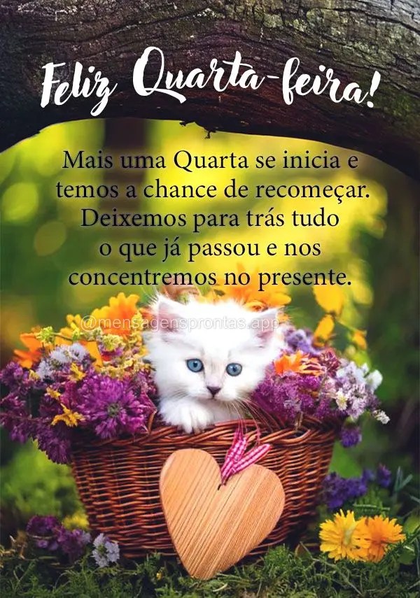 Mais uma Quarta se inicia e temos a chance de recomeçar. Deixemos para trás tudo o que já passou e nos concentremos no presente. Feliz Quarta-feira!...