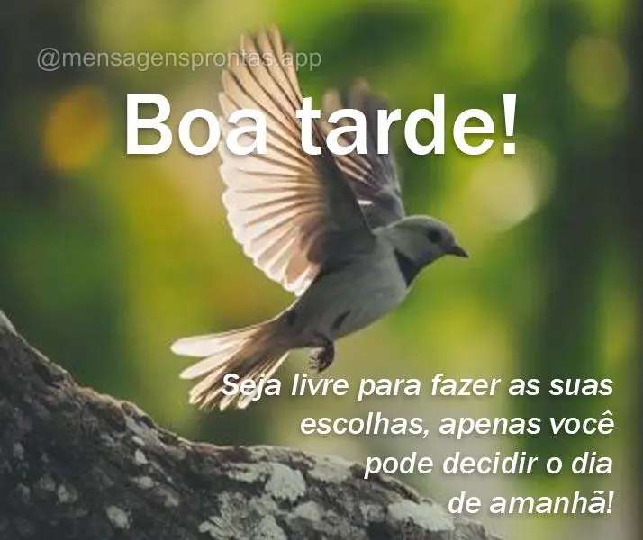 Seja livre para fazer as suas escolhas, apenas você pode decidir o dia de amanhã! Boa tarde!