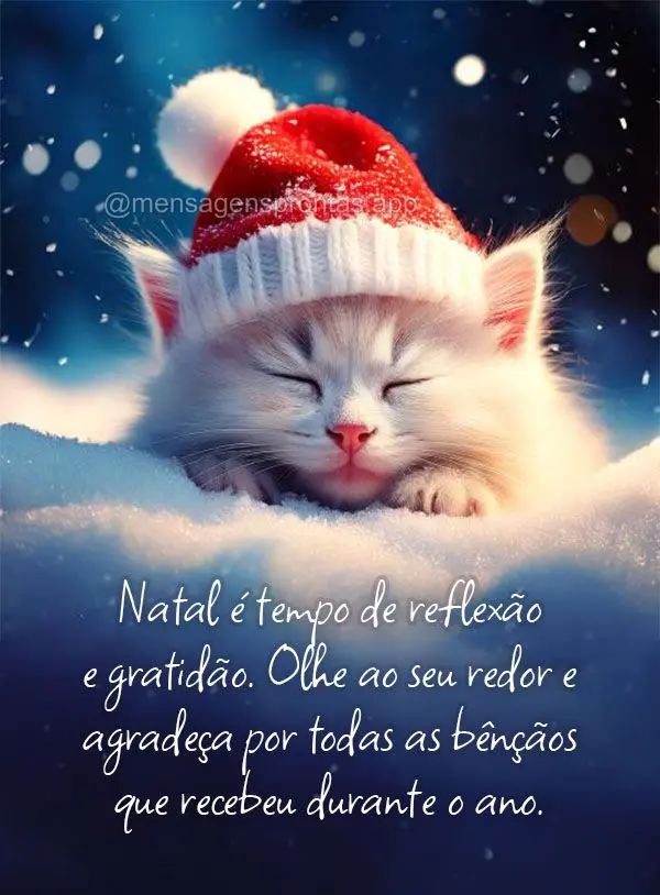 Natal é tempo de reflexão e gratidão. Olhe ao seu redor e agradeça por todas as bênçãos que recebeu durante o ano.