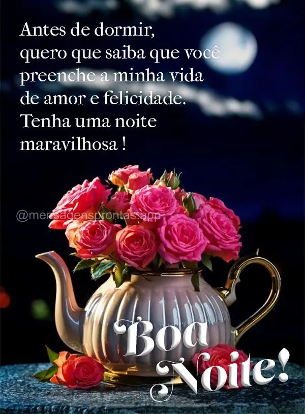 Antes de dormir, quero que saiba que você preenche a minha vida de amor e felicidade. Tenha uma noite maravilhosa! Boa noite! 