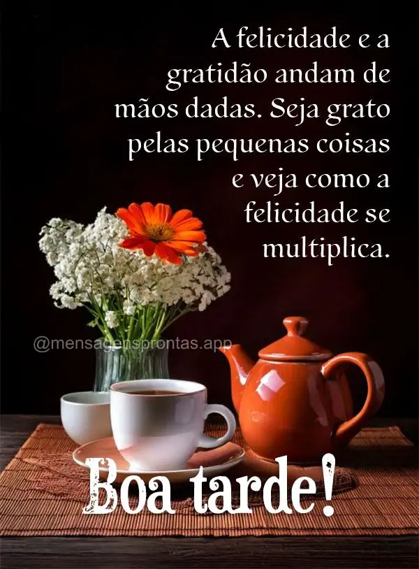 A felicidade e a gratidão andam de mãos dadas. Seja grato pelas pequenas coisas e veja como a felicidade se multiplica. Boa tarde!