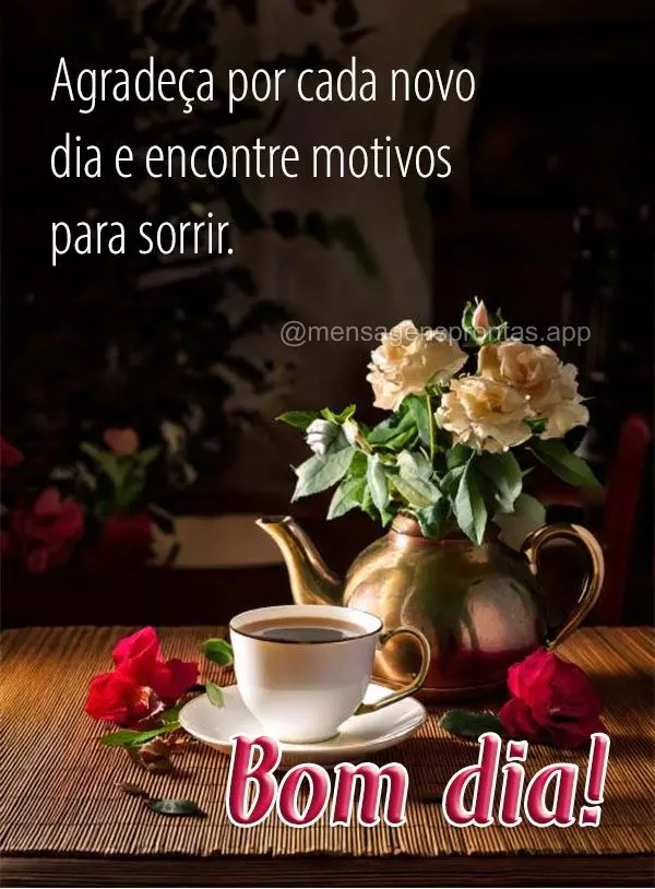 Agradeça por cada novo dia e encontre motivos para sorrir. Boa tarde!