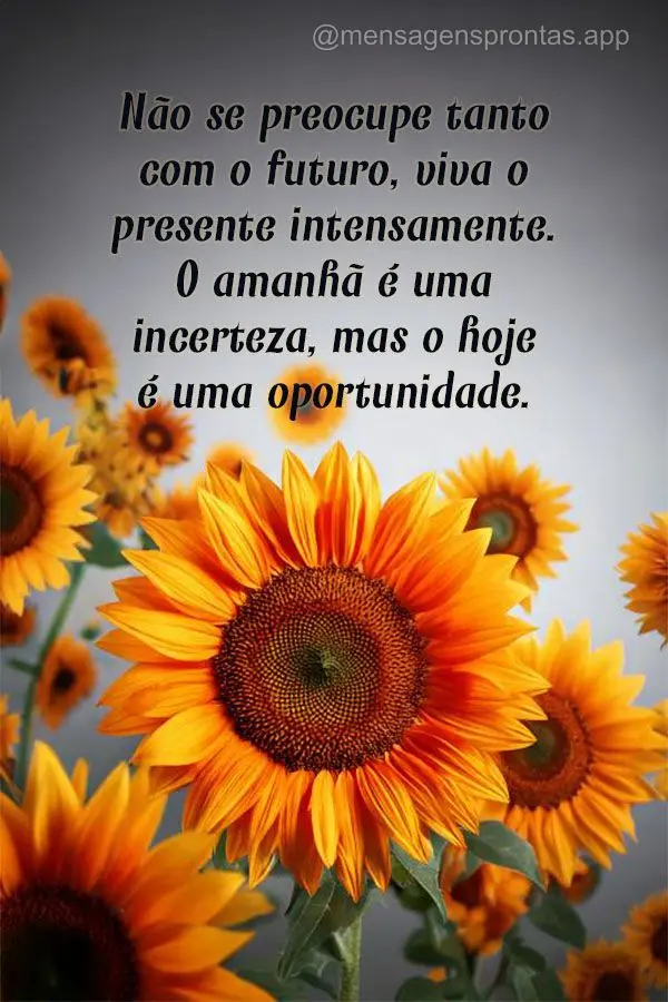 Não se preocupe tanto com o futuro, viva o presente intensamente. O amanhã é uma incerteza, mas o hoje é uma oportunidade.