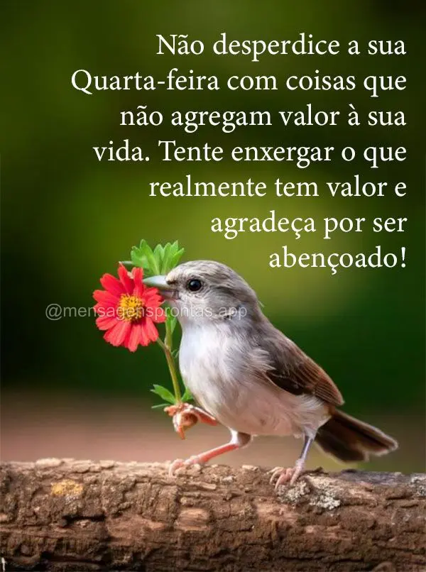 Feliz Quarta-feira! De todas as coisas boas da vida, a melhor é saber que não estamos sozinhos, porque Deus sempre está contigo! 