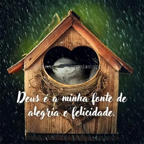 Deus é a minha fonte de alegria e felicidade.