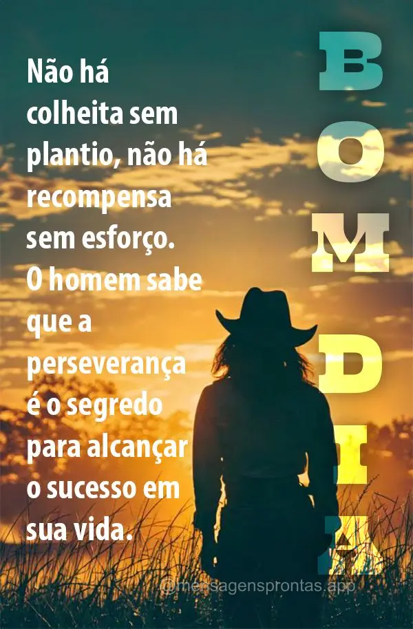 Não há colheita sem plantio, não há recompensa sem esforço. O homem sabe que a perseverança é o segredo para alcançar o sucesso em sua vida. Bom ...