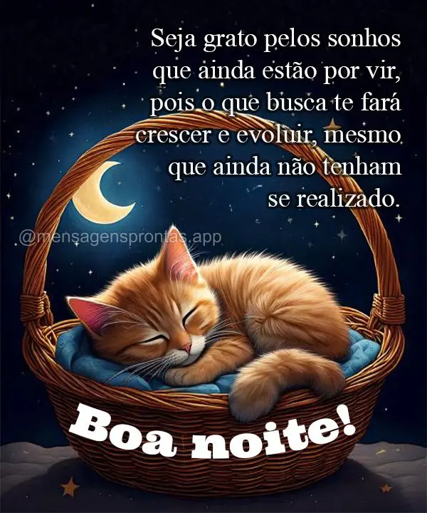 Seja grato pelos sonhos que ainda estão por vir, pois o a busca lhe fará crescer e evoluir, mesmo que ainda não tenham se realizado. Boa noite!