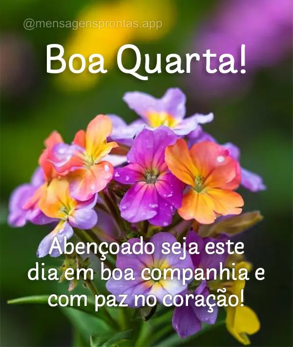 Abençoado seja este dia em boa companhia e com paz no coração! Boa Quarta!