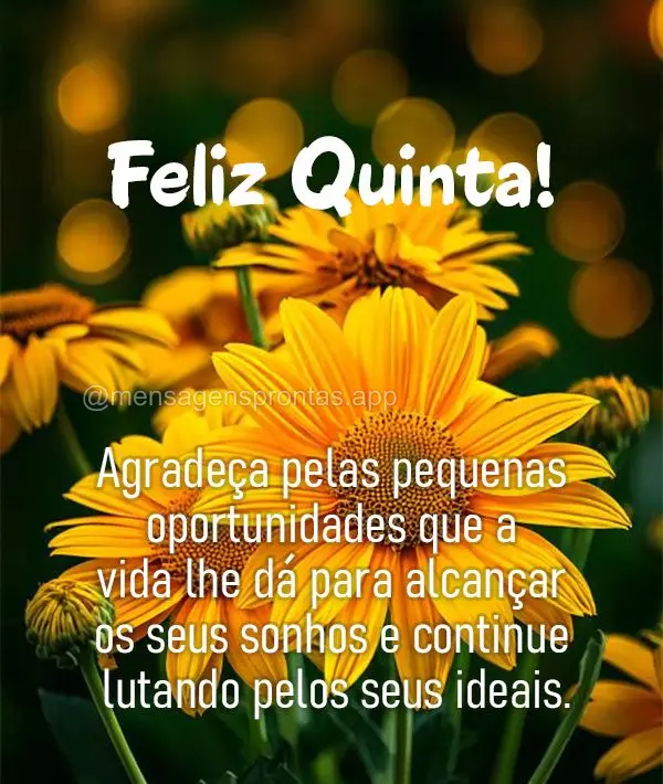 Agradeça pelas pequenas oportunidades que a vida lhe dá para alcançar os seus sonhos e continue lutando pelos seus ideais. Feliz Quinta!