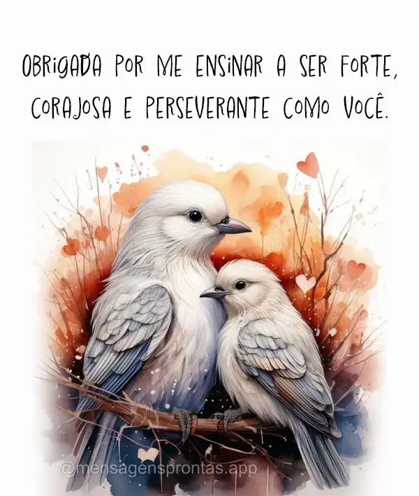 Obrigada por me ensinar a ser forte, corajosa e perseverante como você.