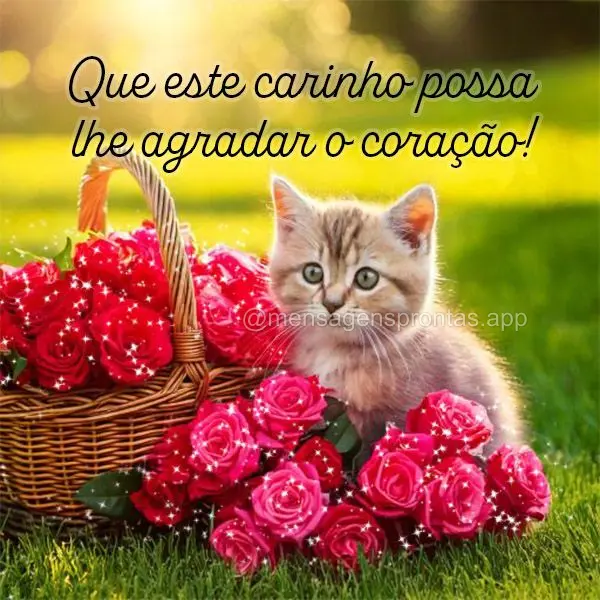 Que este carinho possa lhe agradar o coração!