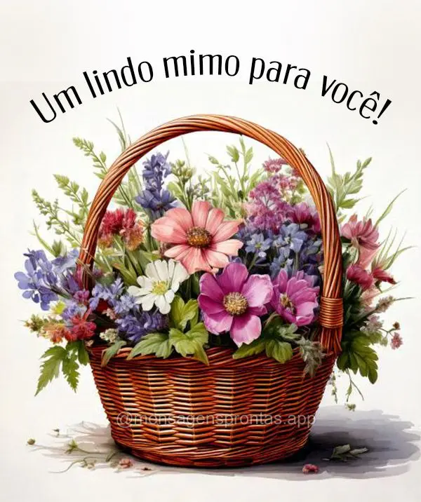 Um lindo mimo para você!