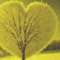 Permita-se amar a si mesmo, conquiste-se todos os dias, abrace os seus defeitos, economize suas palavras para dizer para o seu coração que você é dig...