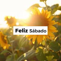 Feliz Sábado! 