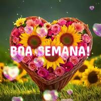 Boa semana!
