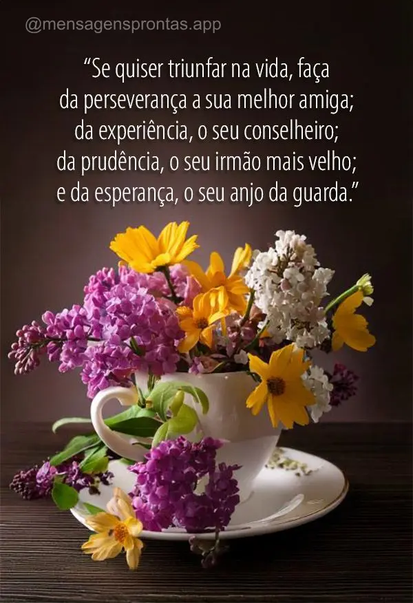 “Se quiser triunfar na vida, faça da perseverança a sua melhor amiga; da experiência, o seu conselheiro; da prudência, o seu irmão mais velho; e d...