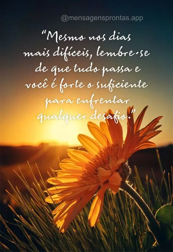 "Mesmo nos dias mais difíceis, lembre-se de que tudo passa e você é forte o suficiente para enfrentar qualquer desafio."