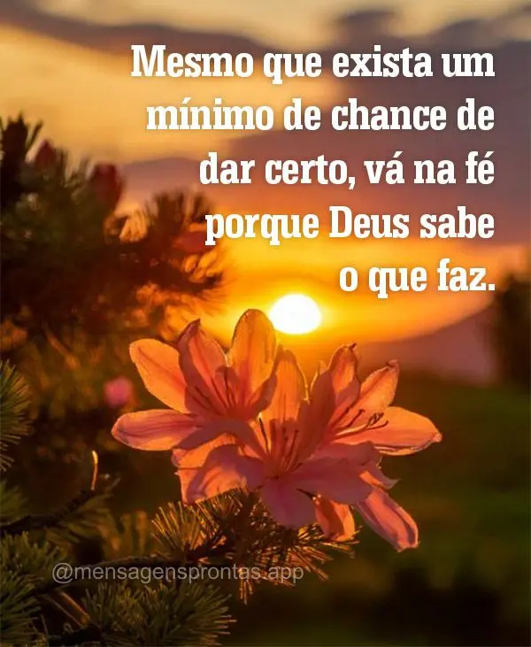Mesmo que exista um mínimo de chance de dar certo, vá na fé porque Deus sabe o que faz.