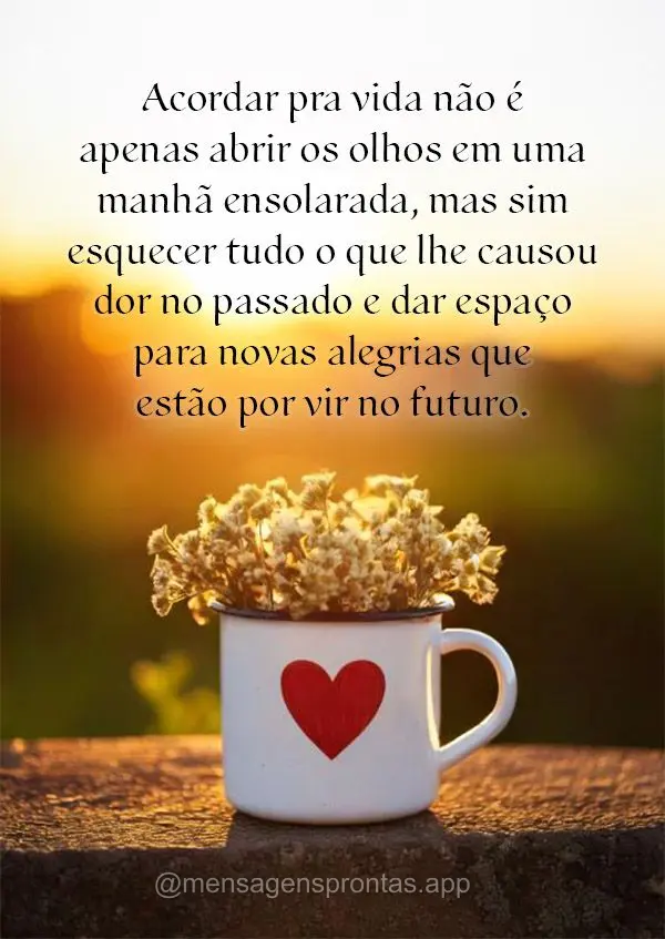 Acordar pra vida não é apenas abrir os olhos em uma manhã ensolarada, mas sim esquecer tudo o que lhe causou dor no passado e dar espaço para novas a...