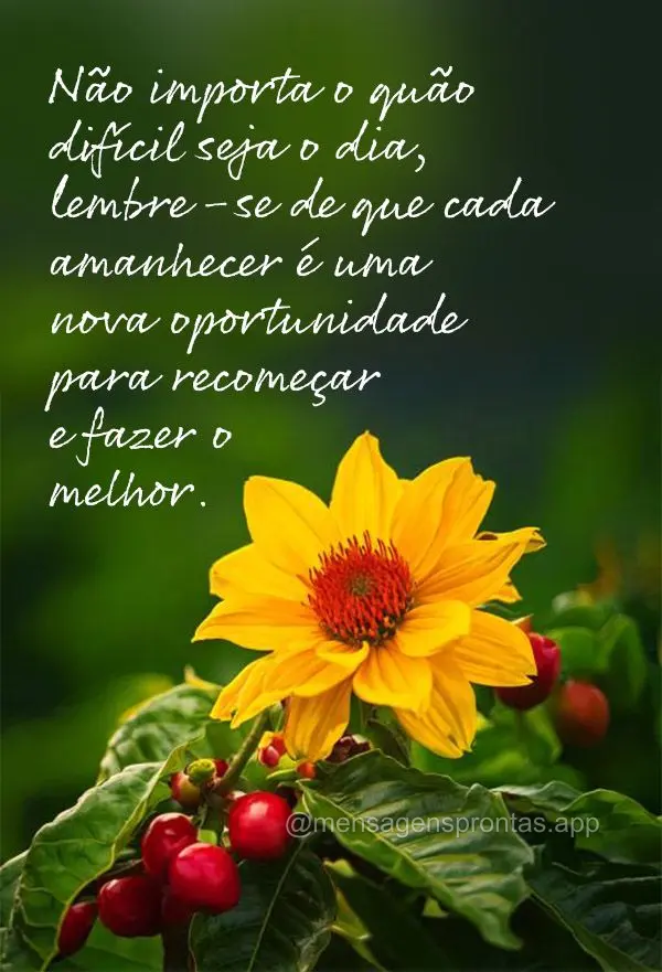 "Não importa o quão difícil seja o dia, lembre-se de que cada amanhecer é uma nova oportunidade para recomeçar e fazer o melhor."