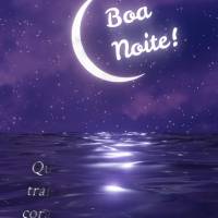 Que a noite traga paz e tranquilidade para o seu coração e que ao acordar, você se sinta revigorado e abençoado pela vida.  Boa noite!