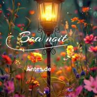 Antes de dormir, agradeça pelas bênçãos recebidas e confie em Deus para o amanhã. Ele sempre tem o melhor plano para nós. Boa noite!