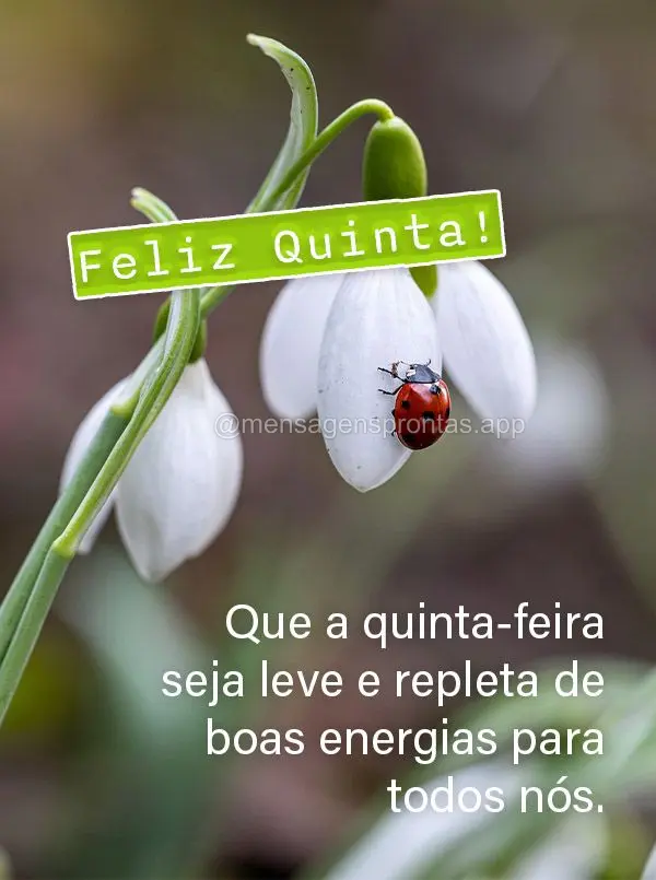 Que a quinta-feira seja leve e repleta de boas energias para todos nós. Feliz Quinta!