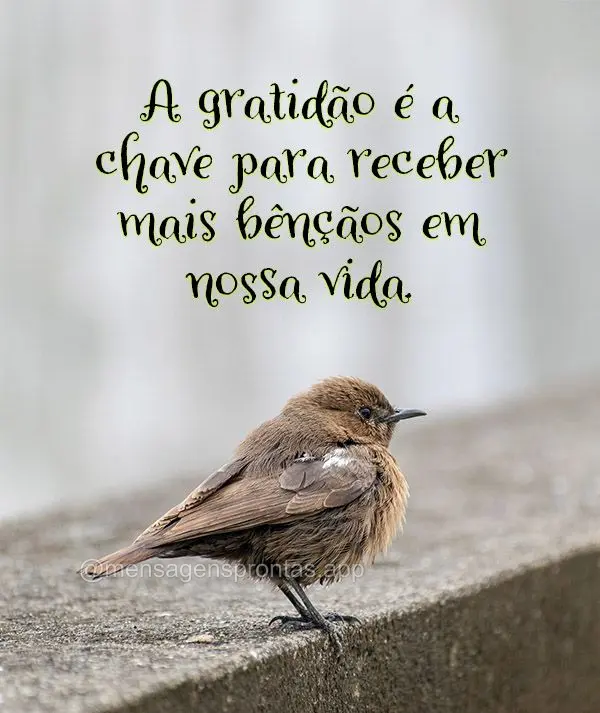 A gratidão é a chave para receber mais bênçãos em nossa vida.