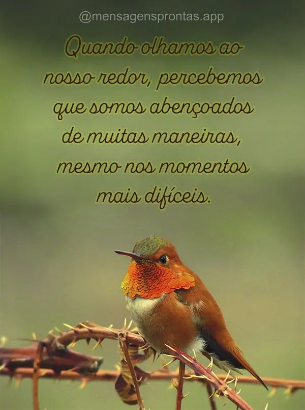 Quando olhamos ao nosso redor, percebemos que somos abençoados de muitas maneiras, mesmo nos momentos mais difíceis.