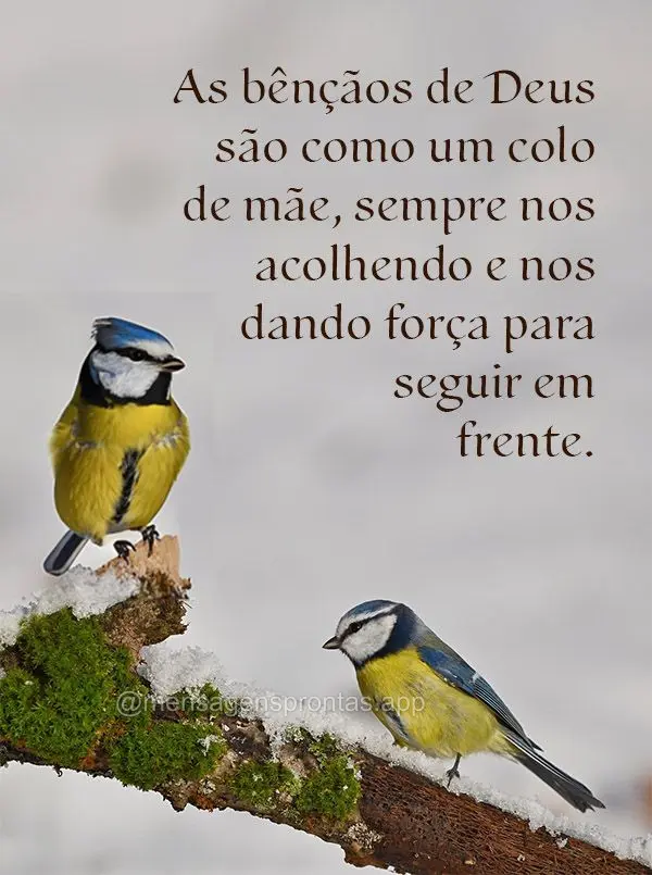As bênçãos de Deus são como um colo de mãe, sempre nos acolhendo e nos dando força para seguir em frente.