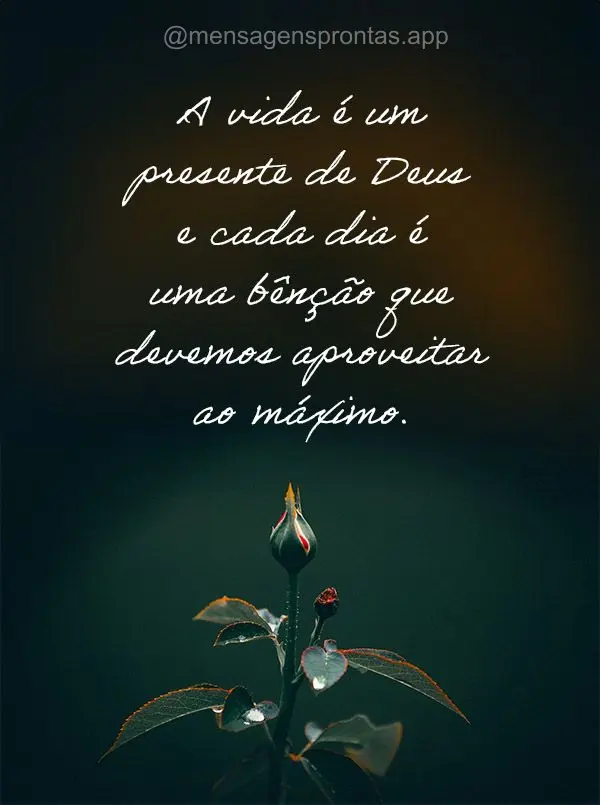 A vida é um presente de Deus e cada dia é uma bênção que devemos aproveitar ao máximo.