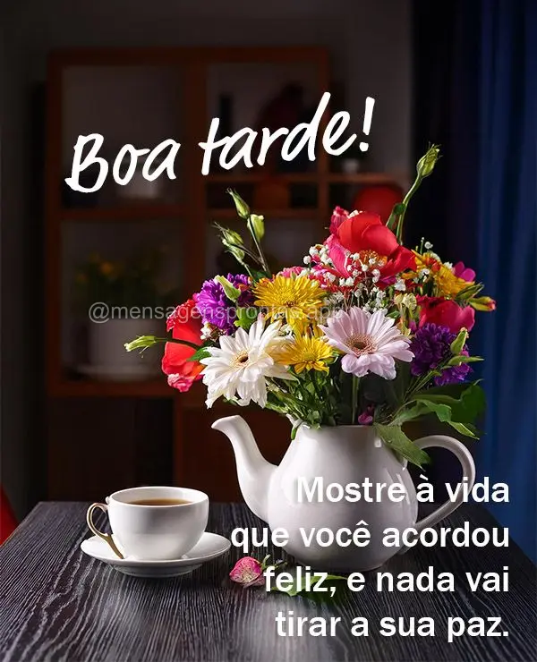 Mostre à vida que você acordou feliz, e que nada vai tirar a sua paz! Boa tarde!