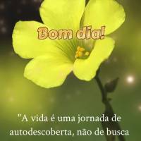 "A vida é uma jornada de autodescoberta, não de busca por aprovação externa." Bom dia! Neale Donald Walsch