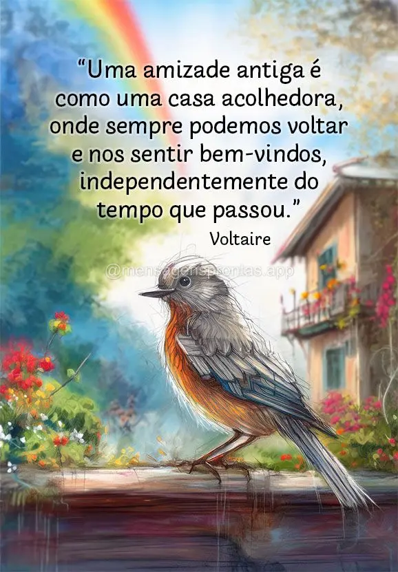 "Uma amizade antiga é como uma casa acolhedora, onde sempre podemos voltar e nos sentir bem-vindos, independentemente do tempo que passou." Voltaire