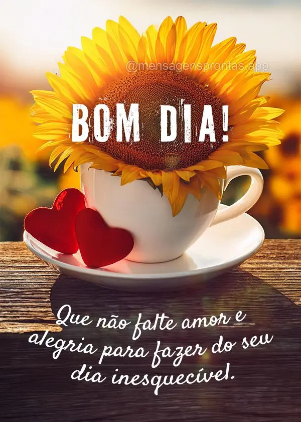 Que não falte amor e alegria para fazer do seu dia inesquecível.  Bom dia!