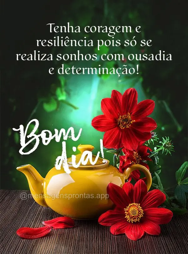 Tenha coragem e resiliência pois só se realiza sonhos com ousadia e determinação!  Bom dia!