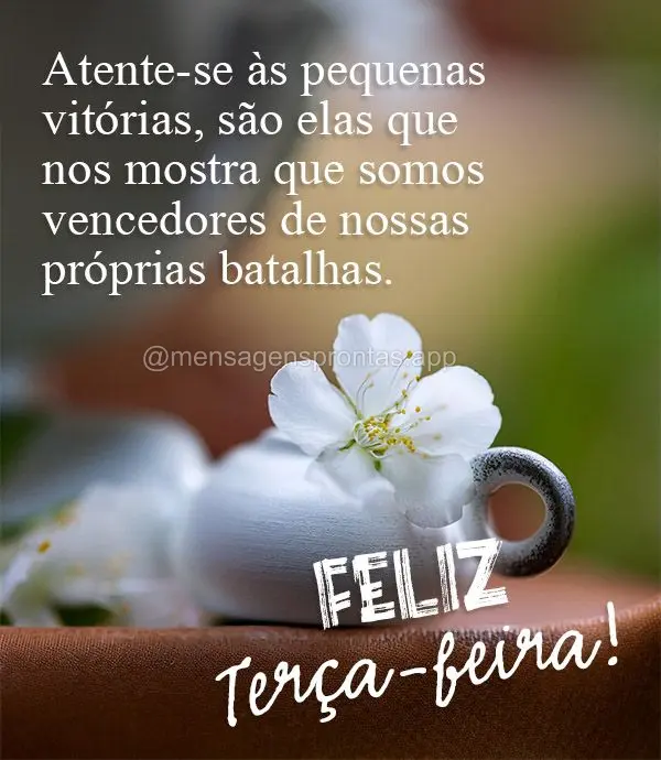 Atente-se às pequenas vitórias, são elas que nos mostra que somos vencedores de nossas próprias batalhas. Feliz Terça-feira!