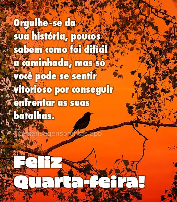 Orgulhe-se da sua história, poucos sabem como foi difícil a caminhada, mas só você pode se sentir vitorioso por conseguir enfrentar as suas batalhas....